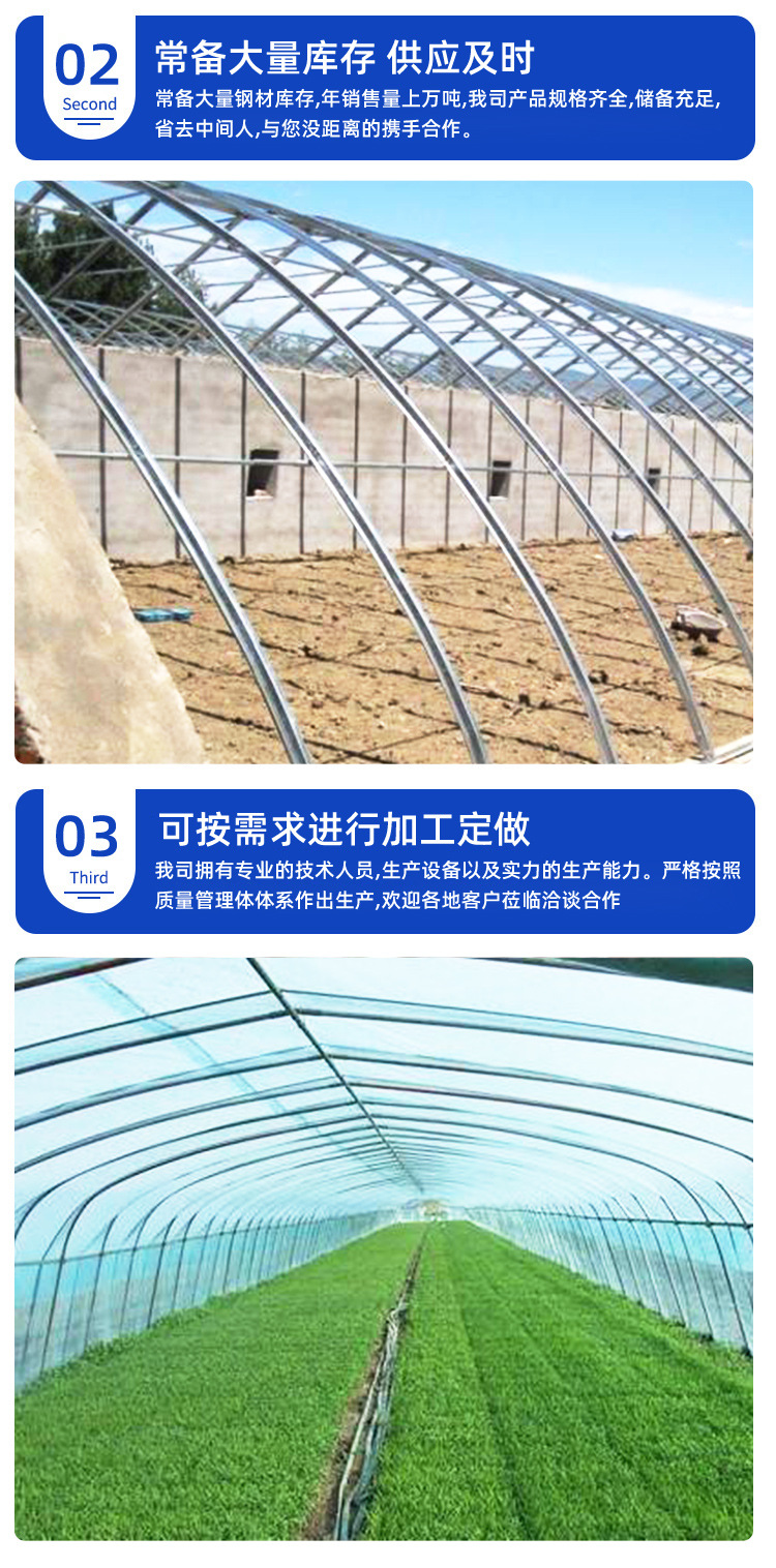 Construction of Plastic Film Single Building Edible Mushroom Greenhouse Greenhouse Planting Arch Dome Steel Frame Steel Pipe Plastic Greenhouse