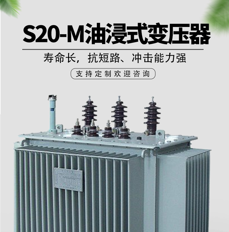 S20-M oil-immersed power transformer industrial all copper three-phase fully enclosed oil transformer