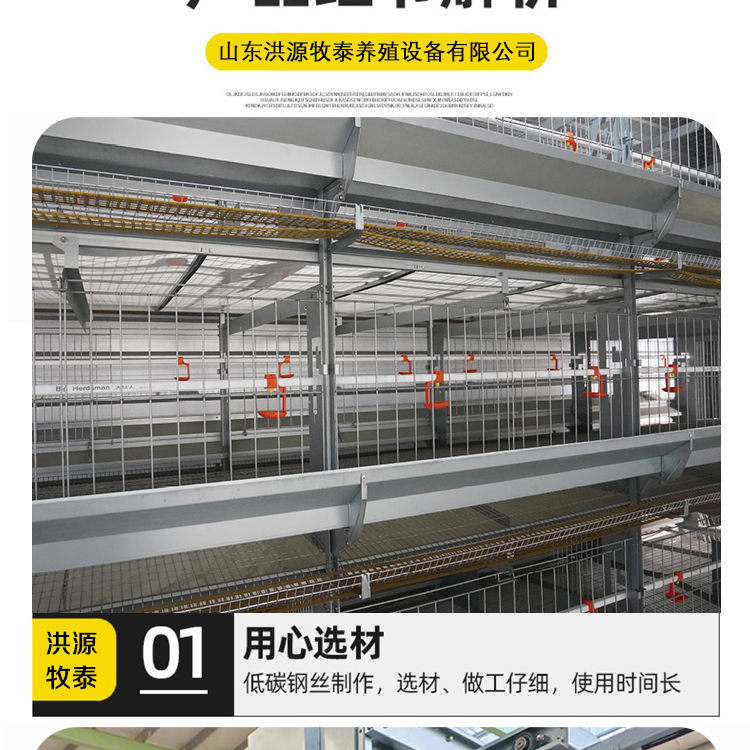 Net raised broiler equipment Xinxiang chicken farm equipment Xinxiang chicken farm equipment How many days does the egg chicken farm produce egg laying chickens Meat chicken farm equipment City chicken farm