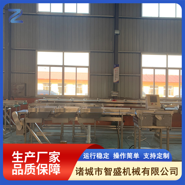 Belt sorting machine, white striped chicken weighing and grading machine, manufacturer's fully automatic poultry weight grading scale