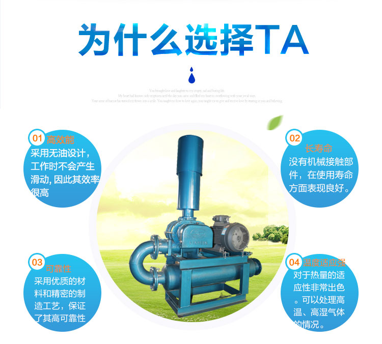 15KW Roots blower for grain conveying, powder conveying, negative pressure dust removal, three leaf Roots blower