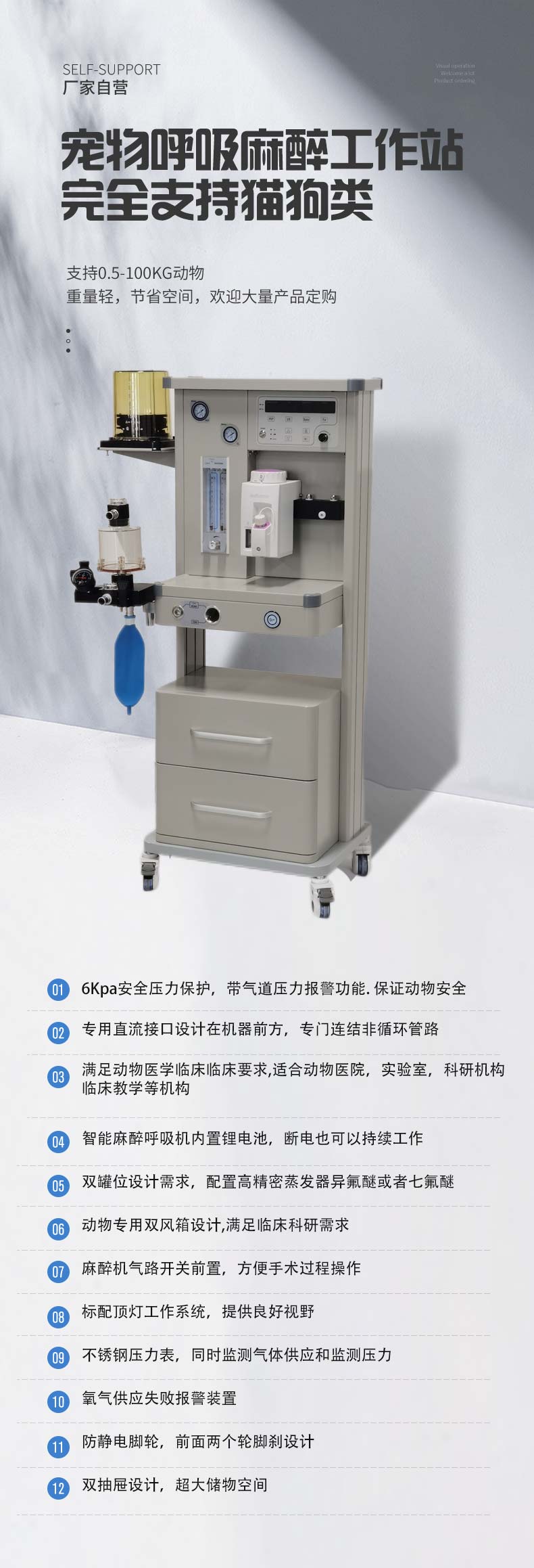 Animal Respiratory Anesthesia Workstation Special Animal Hospital Equipment with Ventilator for Scientific Research and Teaching