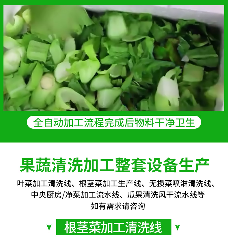 Central Kitchen Prefabricated Vegetable Processing Line Leaf Vegetable, Hair Vegetable Cleaning Line Vegetable, Fruit, and Clean Vegetable Production Line Plan