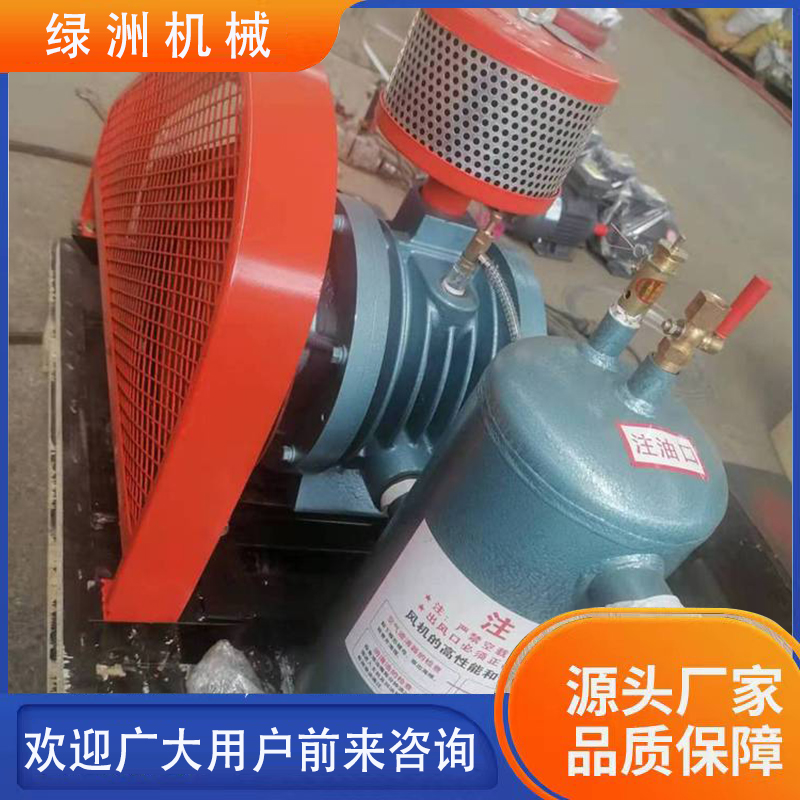 Supply of Air Source for Xinoasis Food Packaging Blow Air Small Sewage Treatment Project Aeration Rotary Fan