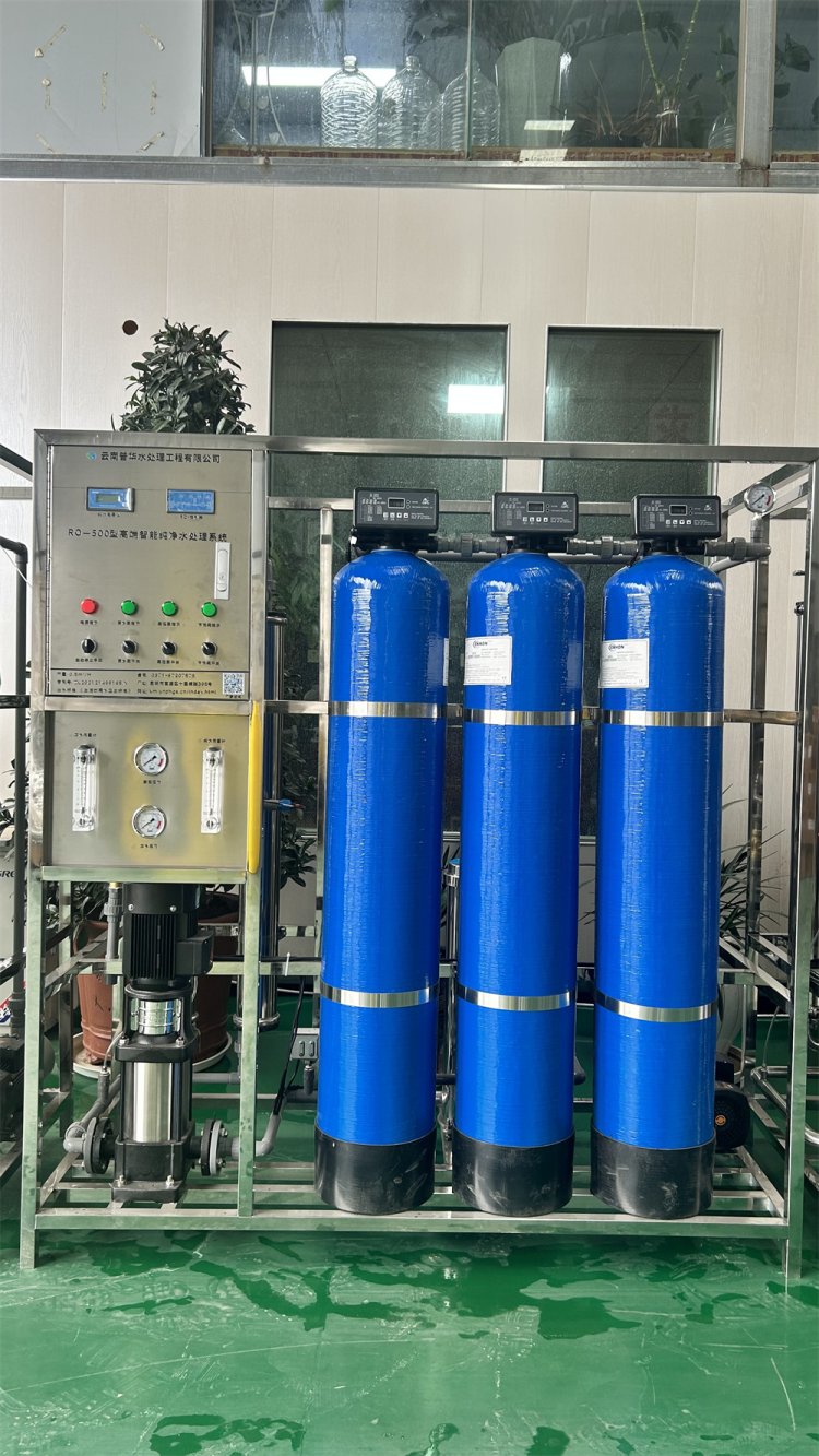 0.5吨双级反渗透水处理设备 纯净水设备 小区学校直饮水过滤系统
