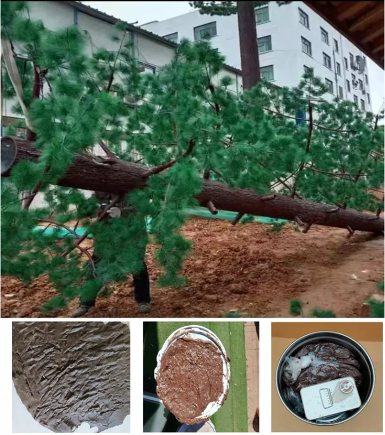 Watchtower beautification adhesive two component biomimetic texture bark adhesive polymer composite bark beautification adhesive paste