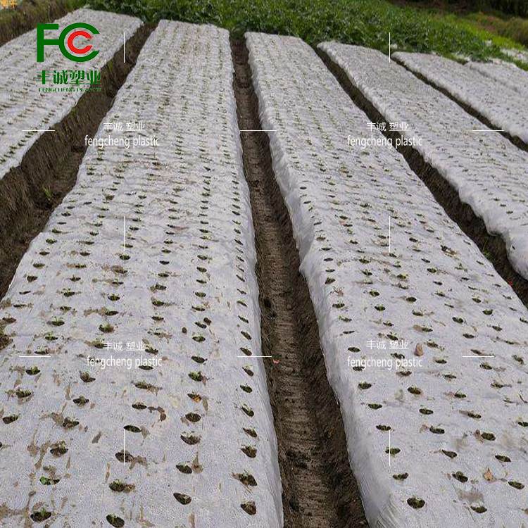 Agricultural perforated plastic film for weeding, insulation and moisturizing, black silver black and white perforated film