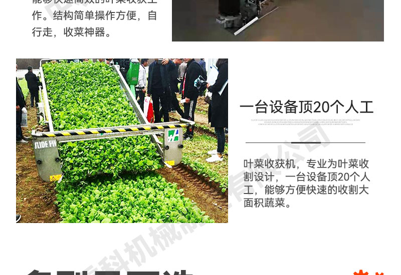 Small leafy vegetable harvester, Zhongnong Heavy Industry Intelligent New Large Area Harvesting Equipment