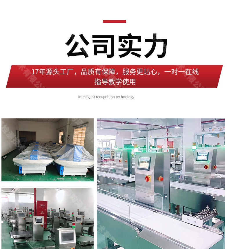 Food factory all metal detector high-precision detector iron aluminum copper stainless steel detection machine conveyor type gold detection machine