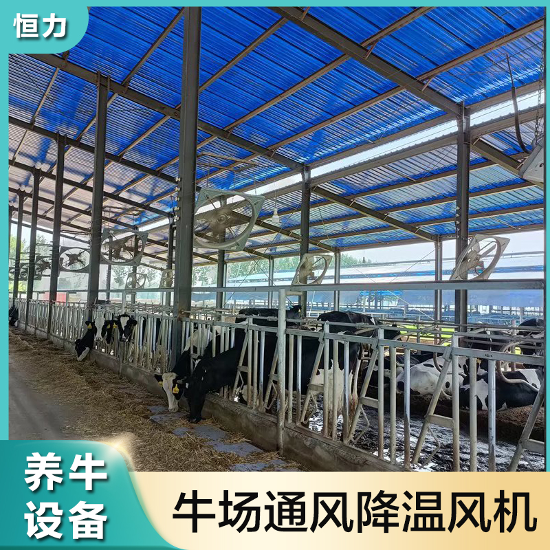 Ventilation and cooling equipment for Hengli Cattle Farm cowshed High air volume galvanized sheet with spray cowshed fan