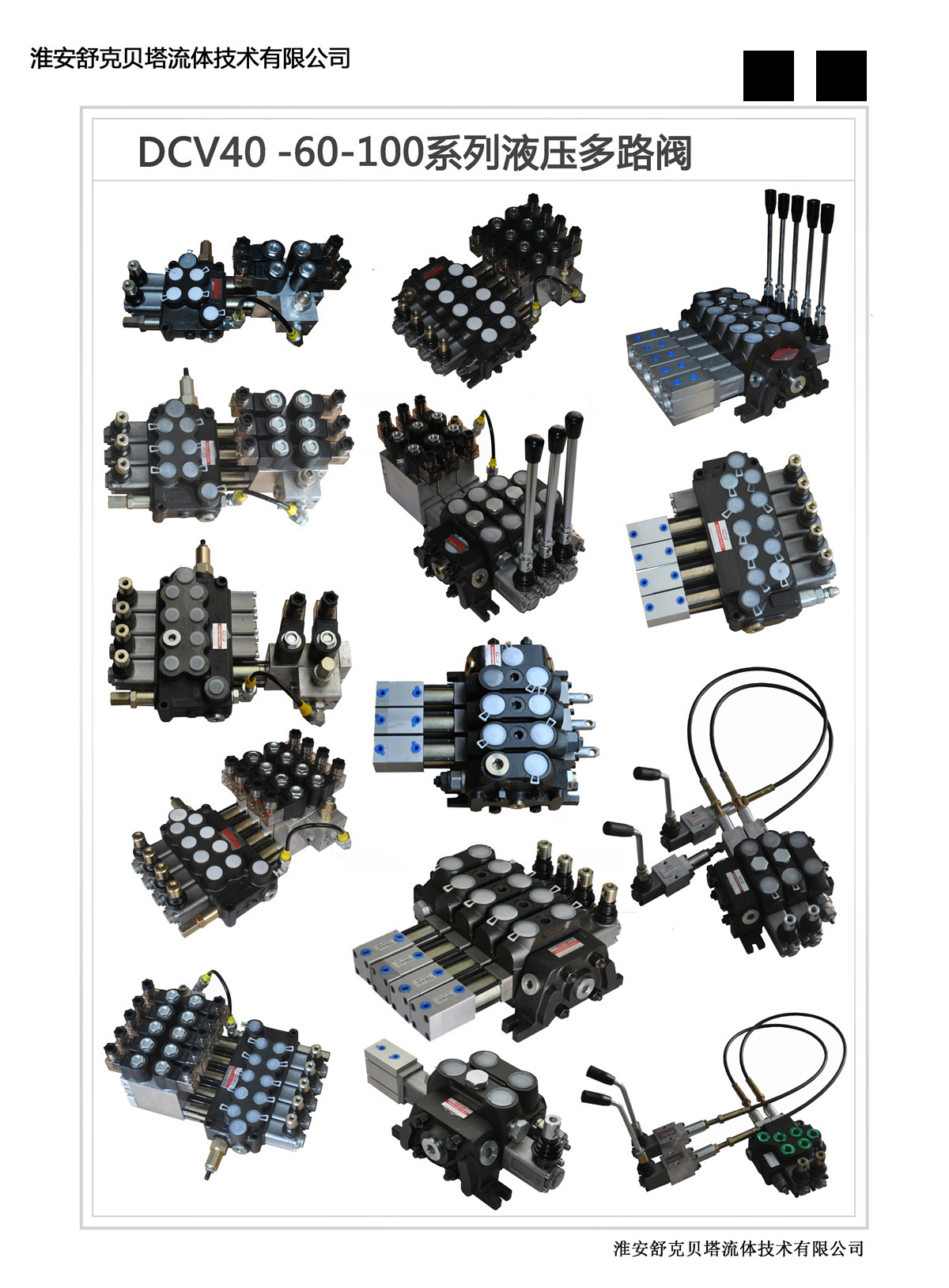 Shuke Beta Fluid Technology ZS20-OW Hydraulic Multiway Valve (Steel Ball Positioning)