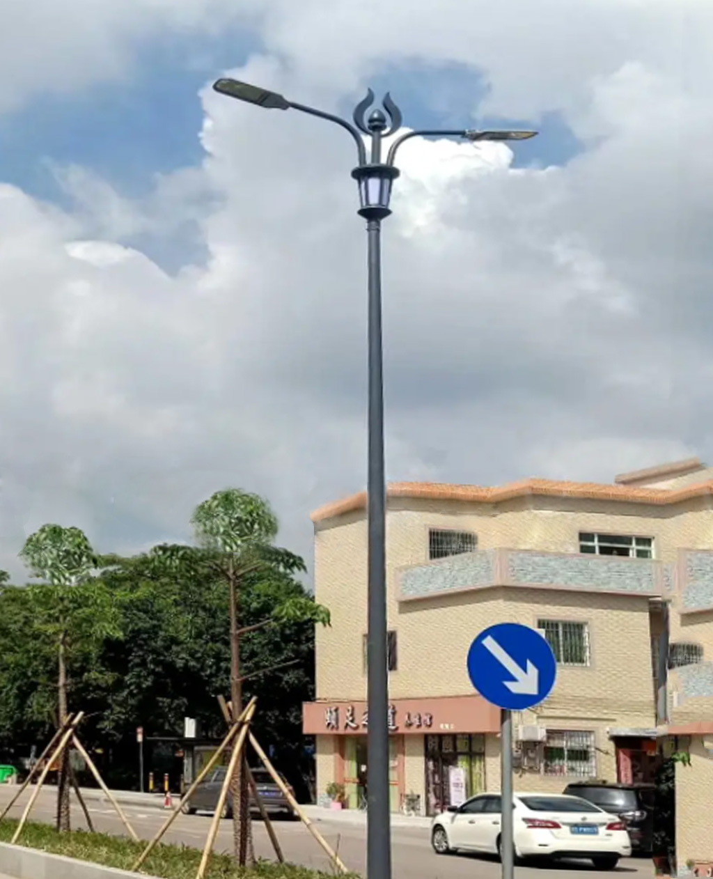 New Rural Street Lamp Pole 6m and 8m LED Street Lamp Square Lamp Outdoor Lamp High Pole Lamp New Yan Guang