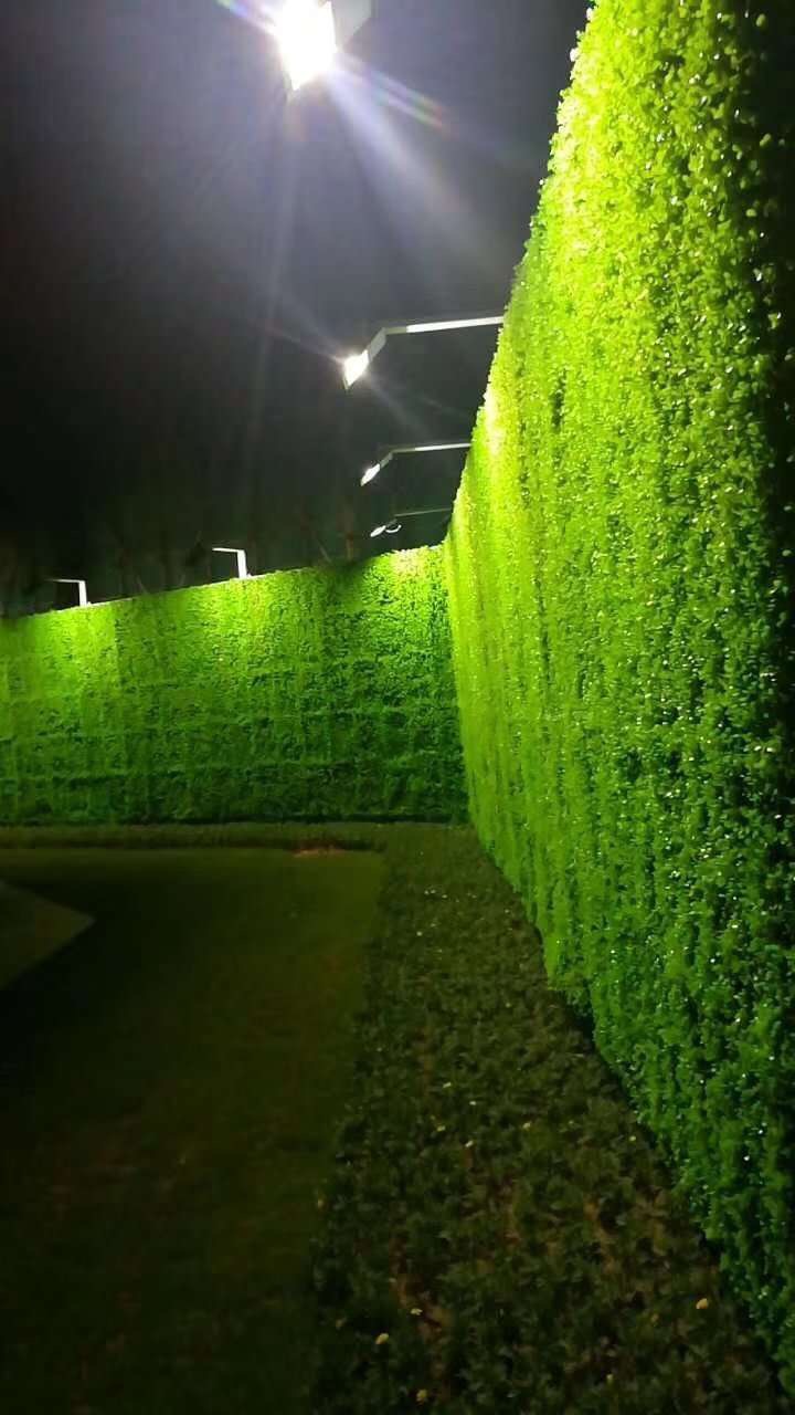优质仿真绿植墙/墙体植物种类丰富,防晒/阻燃，按需设计生产施工约300.00元(图4)