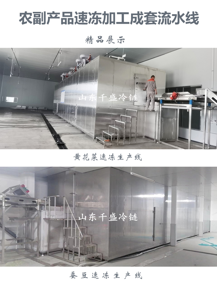 Mushroom quick freezing equipment cleaning and quick freezing assembly line fluidization quick freezing machine tunnel type single freezing machine Qiansheng