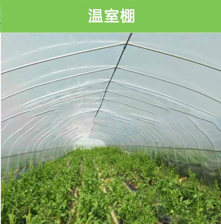 National standard galvanized pipe greenhouse skeleton specifications can be customized for professional construction of circular arch agricultural greenhouse greenhouses