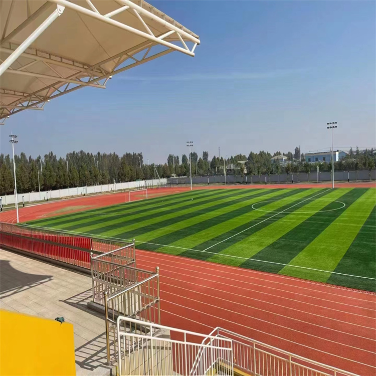 Black particle base breathable plastic track, school playground, football field, artificial lawn, crown A sports