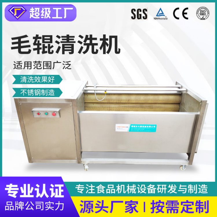 猪头清洗设备 根茎类中药材毛辊去皮清洗机 果蔬加工设备