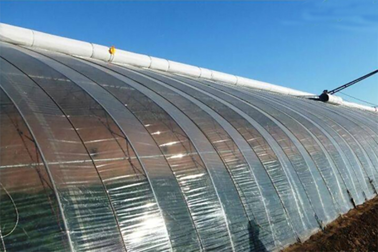 Shuaifeng manufacturer wholesale greenhouse drip free plastic film vegetable greenhouse PE transparent plastic cloth manufacturer customized shipment