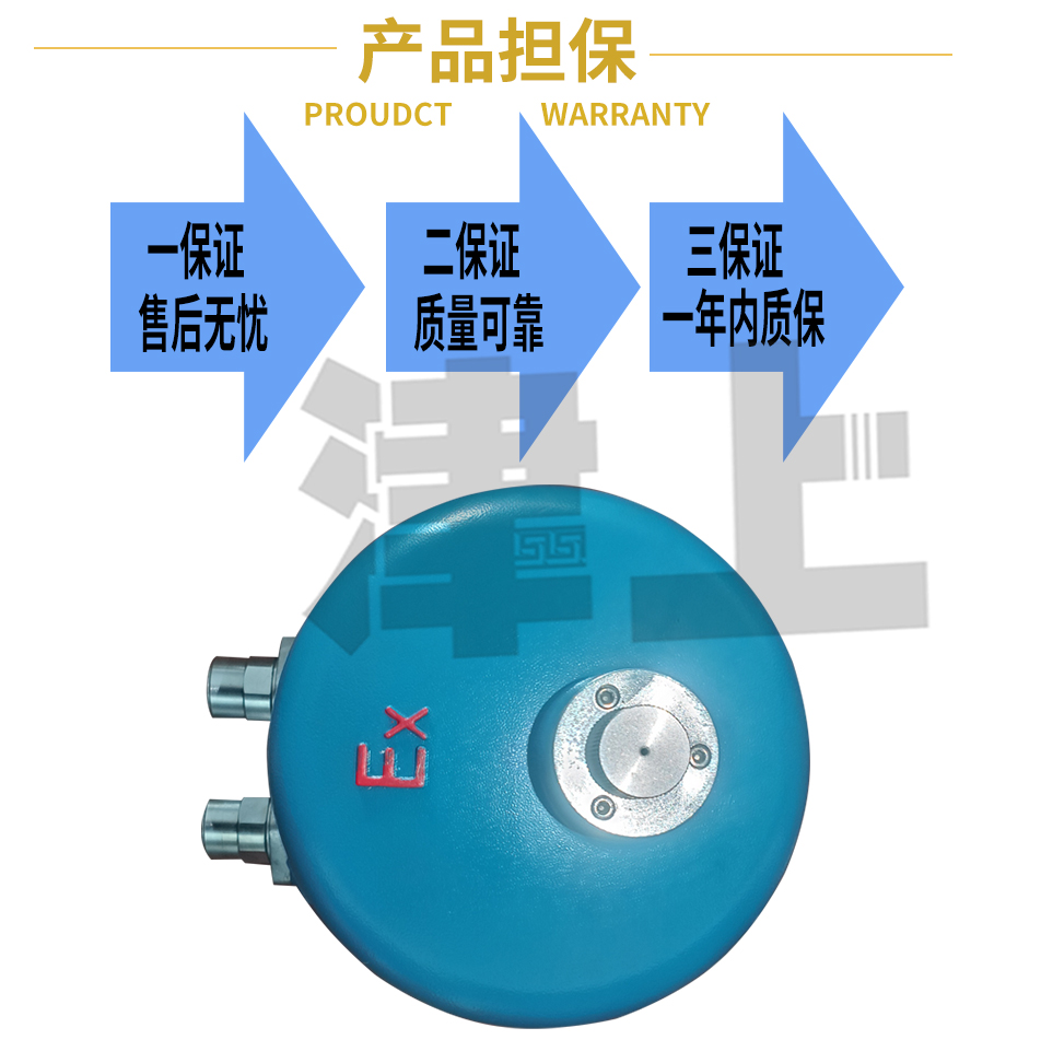 Jinshang Bernard explosion-proof direct electric actuator 361LXB-50 361LXC-65 361LXC-99