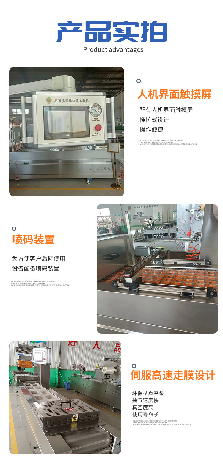 Beef jerky stretch film Vacuum packing machine Stainless steel dried fish packaging equipment Food packaging machinery
