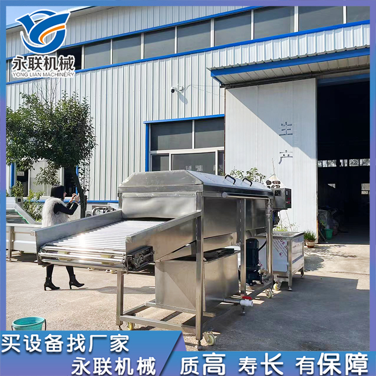 Yonglian roller washer Pitaya cleaning equipment has good effect of up and down spray cleaning