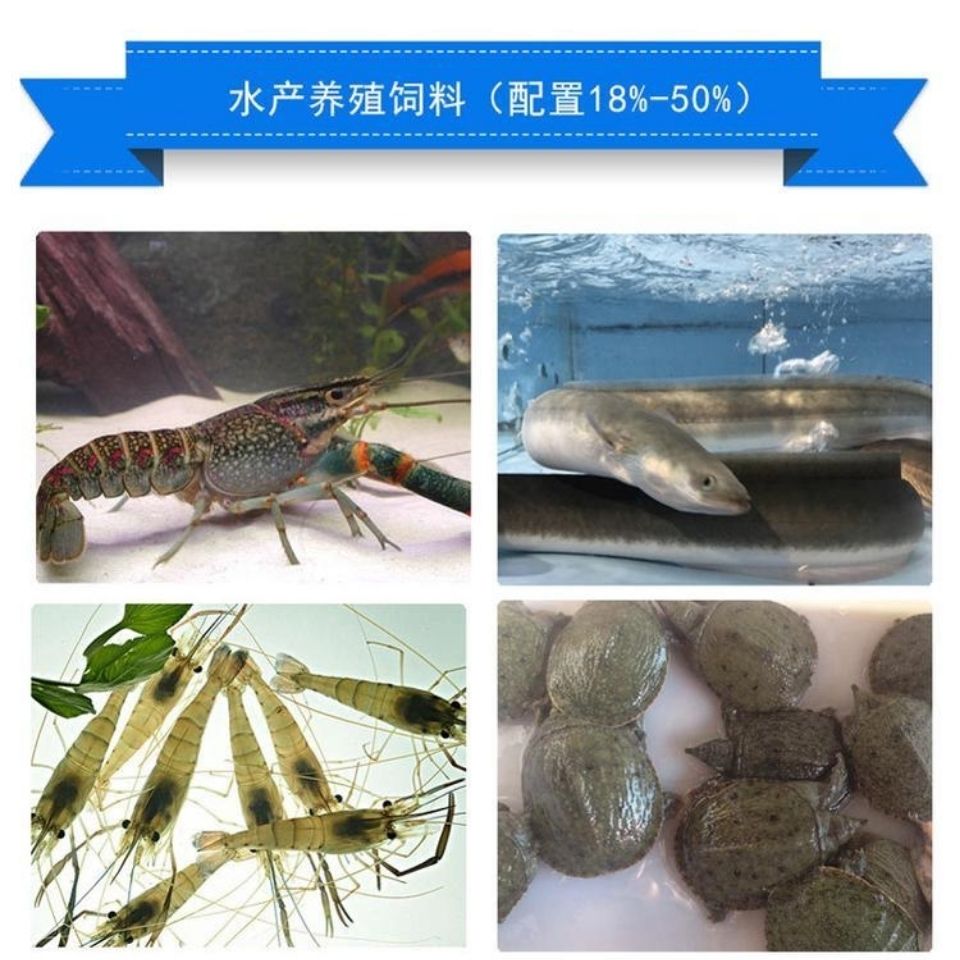 Peru Fish Meal, Aquaculture, Livestock and Poultry Breeding, Nutritional Additive Feed Core Raw Materials