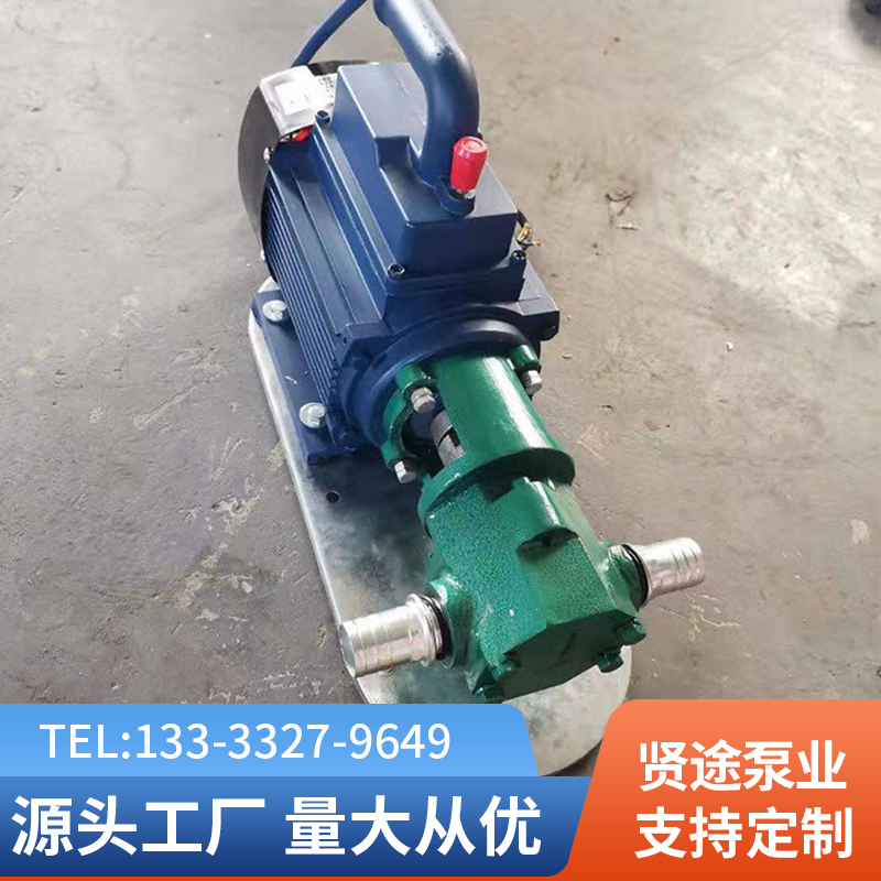 Stainless steel WCB portable gear oil pump Portable low energy saving beverage oil drum oil transfer