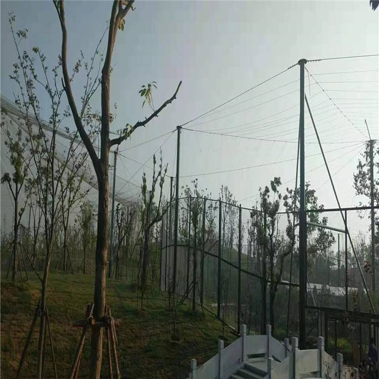 Hengding Customized Stainless Steel Woven Rope Net for Zoo Construction: Bainiaoyuan Sky Screen Net, Bird Whispering Forest Net