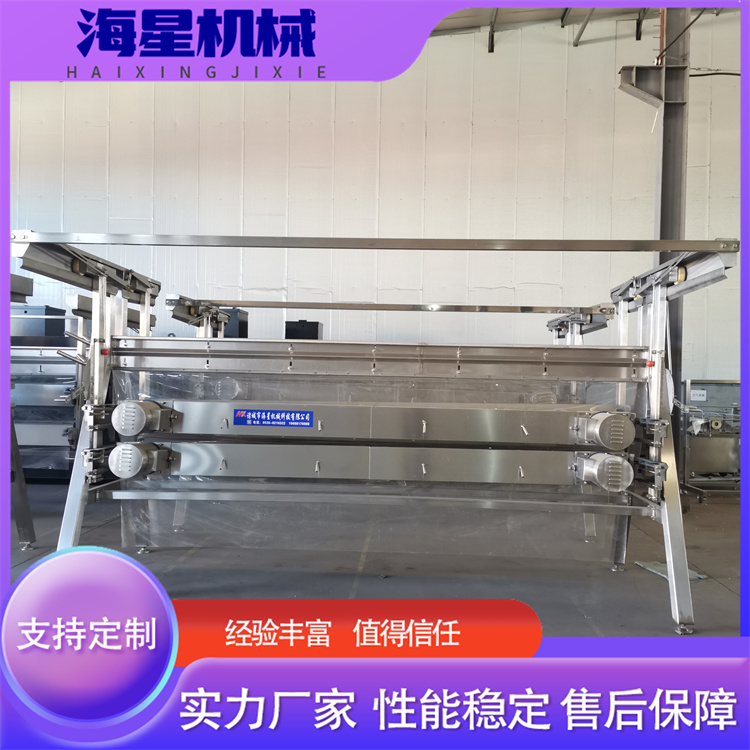 Haixing vertical hair removal machine manufacturer stainless steel chicken and duck hair removal equipment assembly line