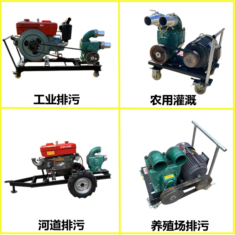 3kw electric motor fecal pump for farm use fecal pump sewage treatment water pump direct suction direct discharge diesel mud pump 2 inches