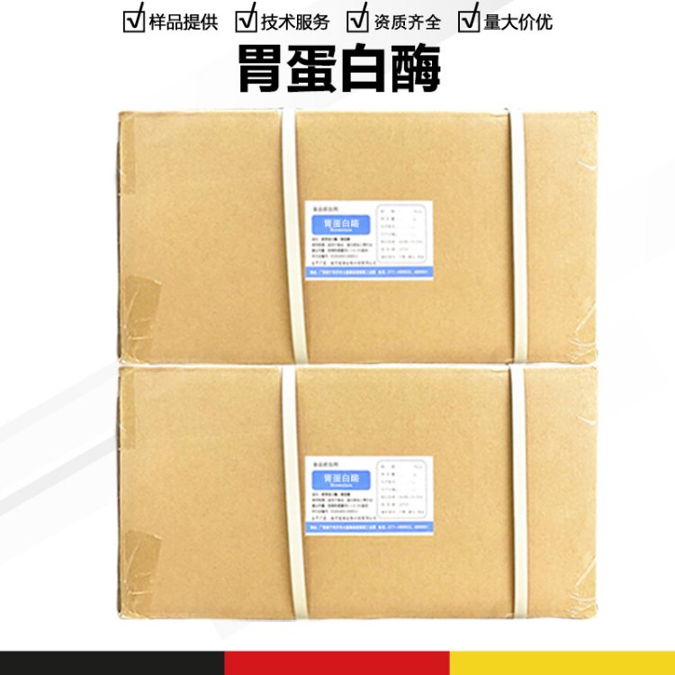 胃蛋白酶 食用添加剂厂家供应 食品级生物酶制剂
