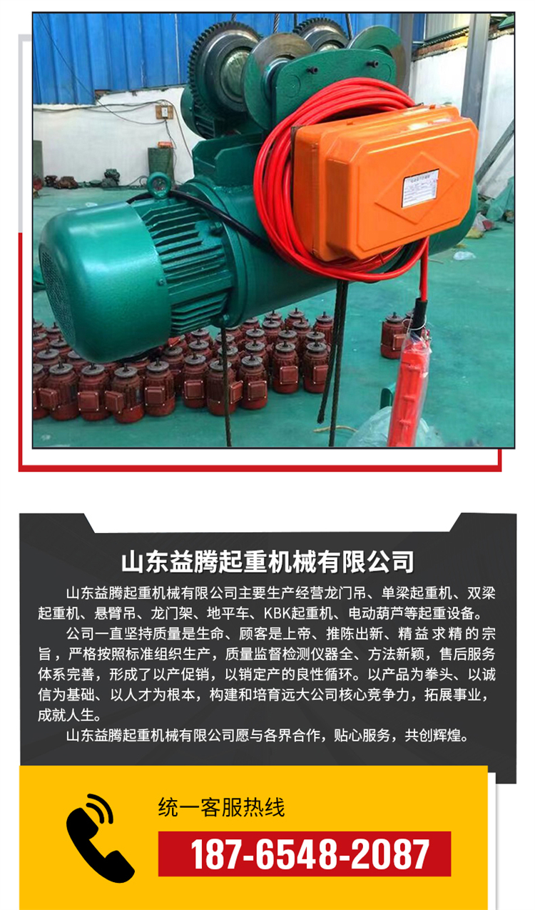 Explosion-proof Steel Wire Rope Electric Hoists for Traveling Vehicles and Hoists in Chemical Plants