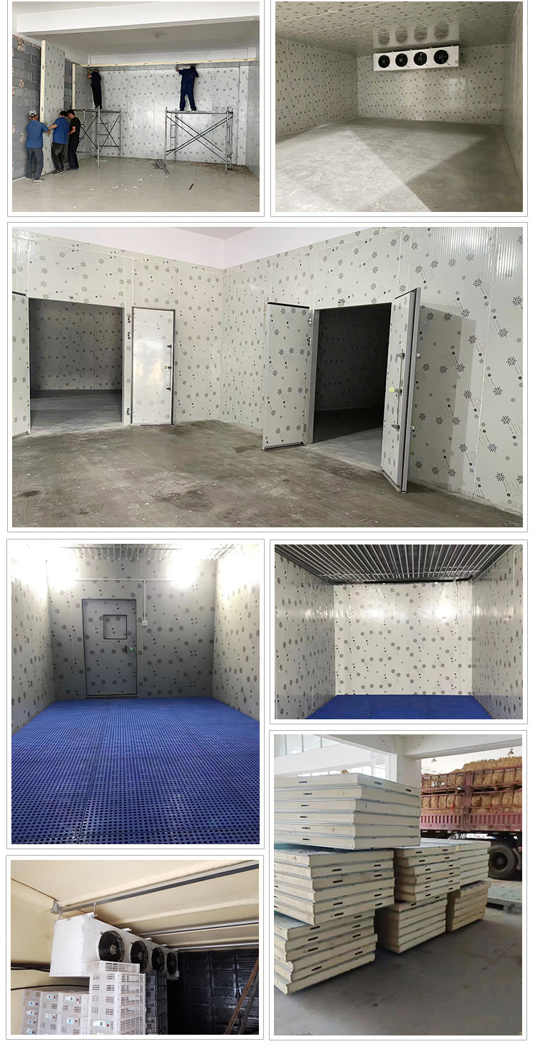 Large Cold Storage Engineering Logistics Reserve Cold Storage Food and Beverage Preservation Environment