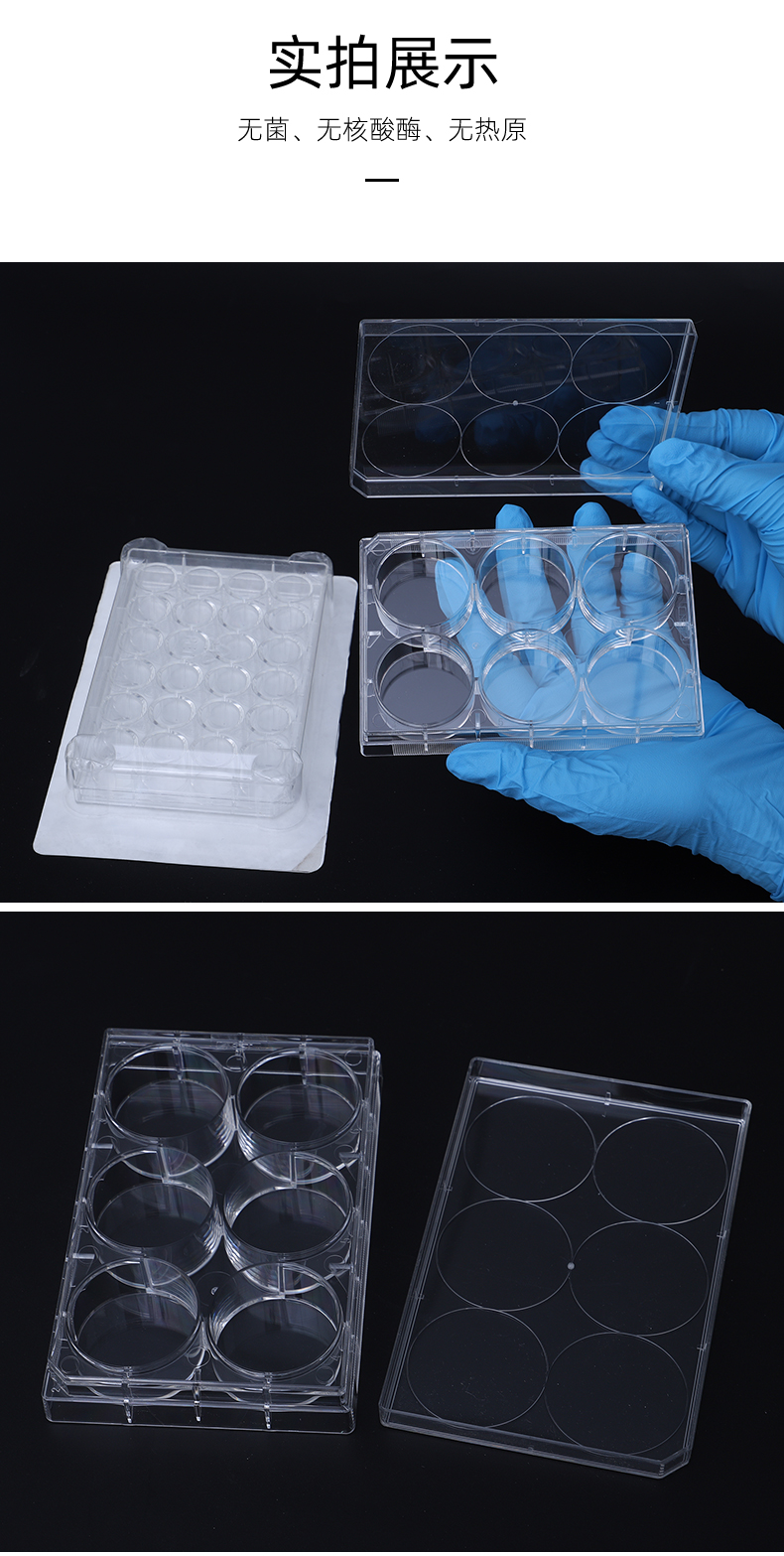 NEST 6/12/24/48/96 well flat bottom adherent/suspension cell culture plate [703001]