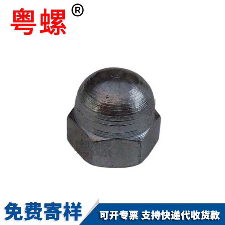 Cover nut decorative nut DIN1587 hexagonal dome nut M4 M5