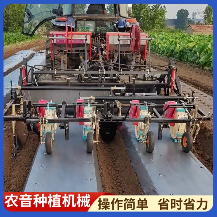 紫苏种植机械 规格多样 操作简单 自动化程度高 欢迎来电