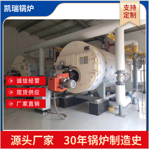 Supply 0.5 ton gas steam boiler 500 kg low nitrogen natural gas industrial boiler