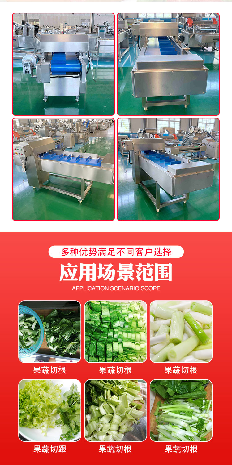 Vegetable root cutting machine QCG2000B Kohler mechanical parallel automatic conveying root cutting machine