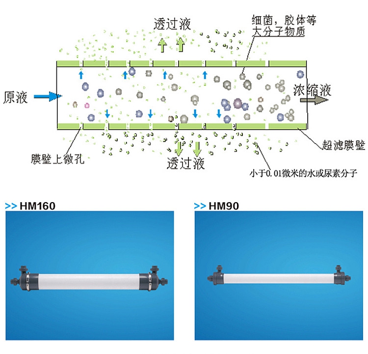 Ultrafiltration membrane HM90PAN industrial HM160/200PVDF water treatment filtration equipment urea purification of wastewater