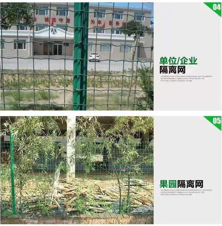 Circular forest protection and mountain protection can be achieved through barbed wire mesh, green chicken, duck, and goose bags, and Dutch mesh support customization