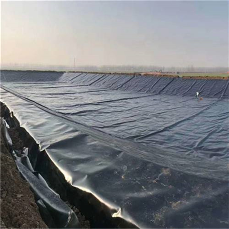 Bi-directional mining plastic geogrid underground double anti false roof mesh plastic mesh protective mesh plastic steel composite mesh