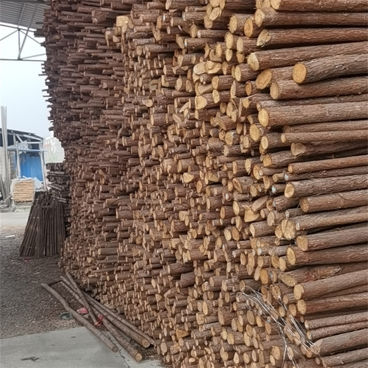 Hongyuan Building Materials sells 1-8 meter cedar poles online throughout the day, used for support and greening of bean pod greenhouses