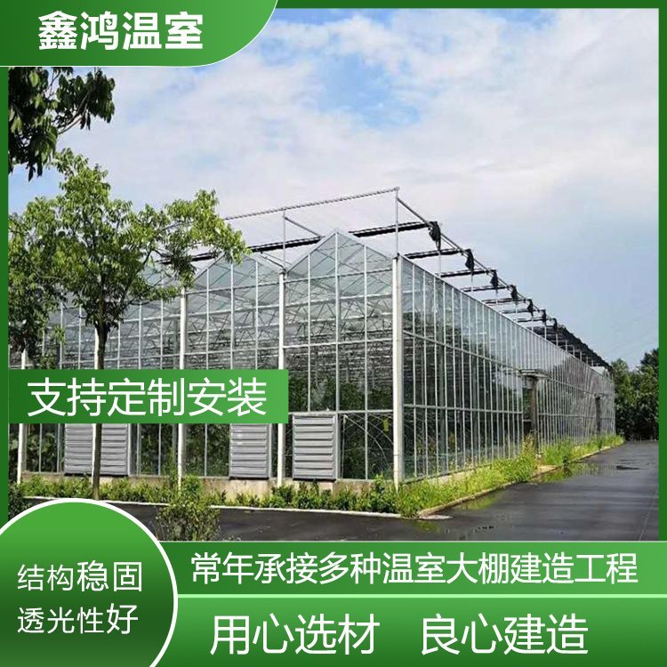 Construction of hot-dip galvanized steel pipe framework for vegetable and flower planting greenhouse in intelligent glass greenhouse with sunlight