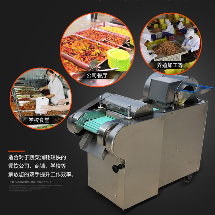 Zhixun Small Pepper Cutting Machine Two Phase Electric 660 Bamboo Shoot Slicer Stainless Steel Tobacco Cutting Machine