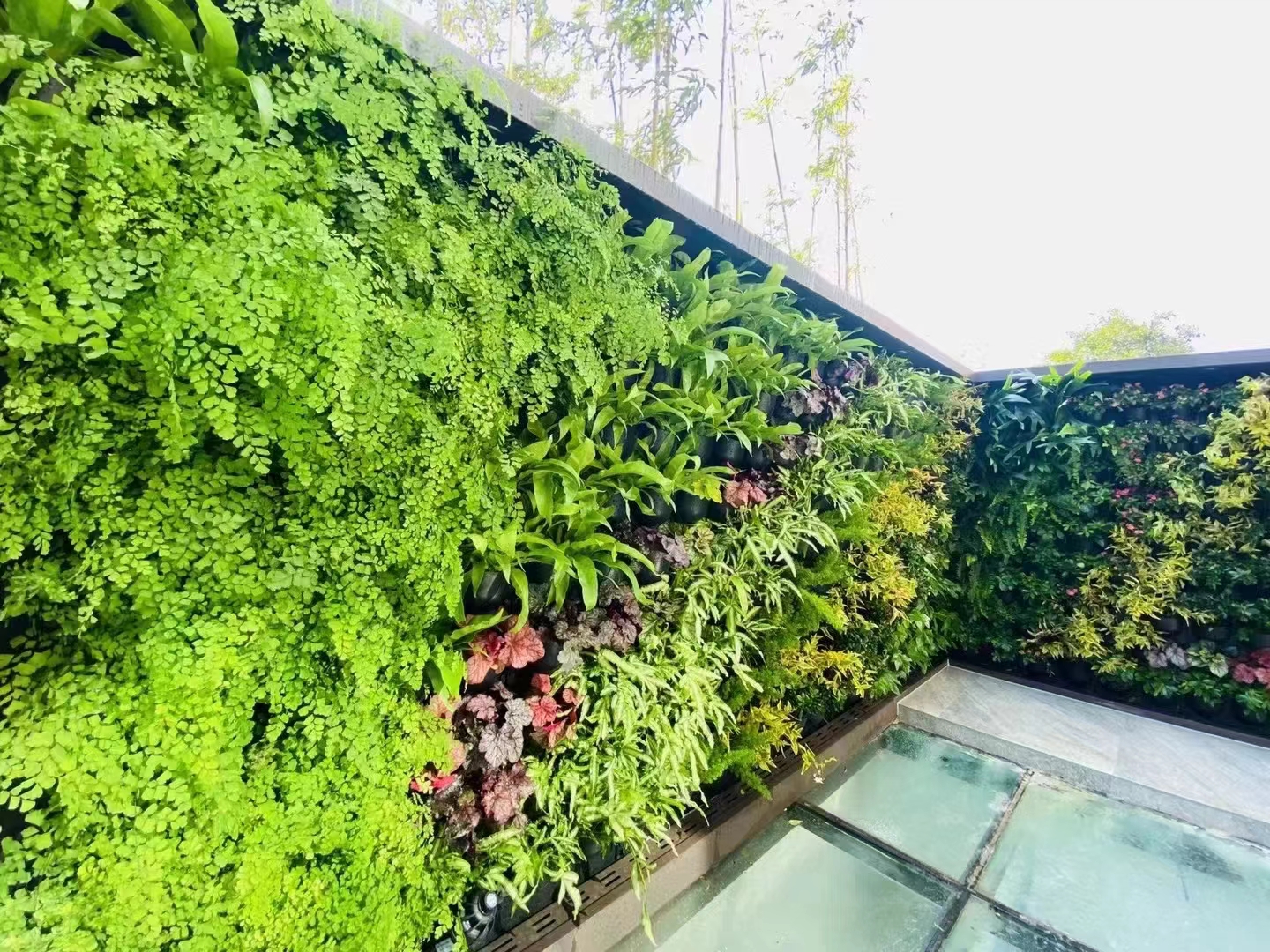 绿墙生态 仿真绿植墙 绿化立体植物墙 上门测量 透气约180.00元(图3)