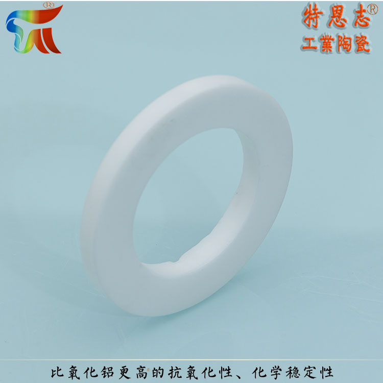 Terenz Dry Press Forming Manufacturer for Precision Zirconia Ceramic Ring Sealing