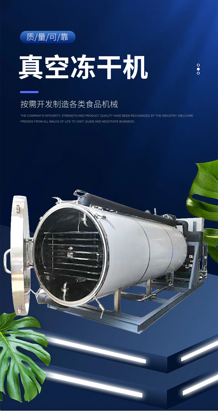 Yonglian DG-7 Blueberry Freeze Drying Machine Mulberry Freeze Drying Equipment Quick Freeze Drying Integrated Machine