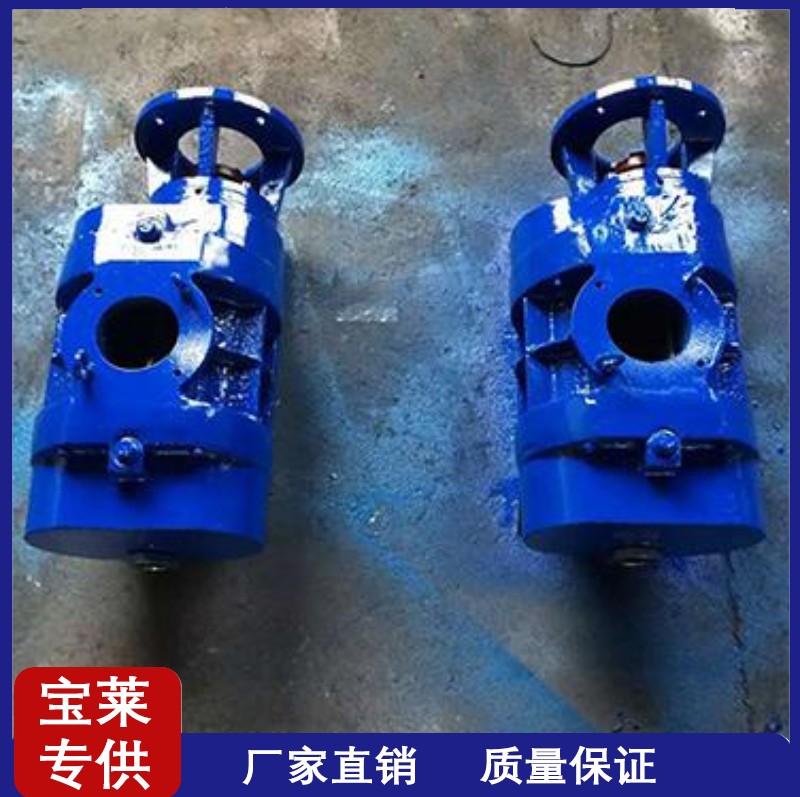 Baolai Vacuum Pump Specifications Complete ZJ Series Roots Vacuum Pump Unit Low Energy Consumption Support Customization