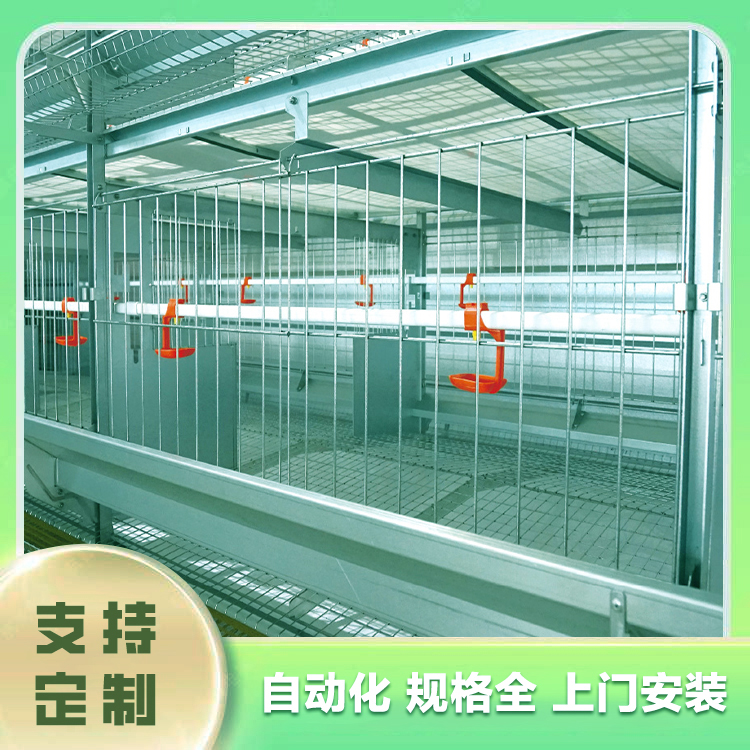 Poultry breeding equipment Jiaxing chicken breeding equipment Jiaxing chicken farm equipment Egg chicken cage breeding equipment Wholesale factory Egg chicken Meat chicken breeding equipment Meat chicken breeding equipment