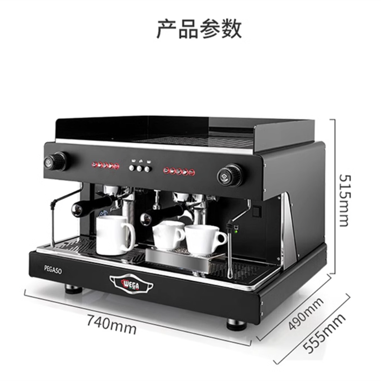 Italian WEGA PEGASO Picasso's New Commercial Double Head Coffee Machine